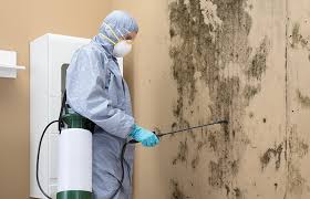 Best Air Quality Testing for Mold Spores  in Big River, CA